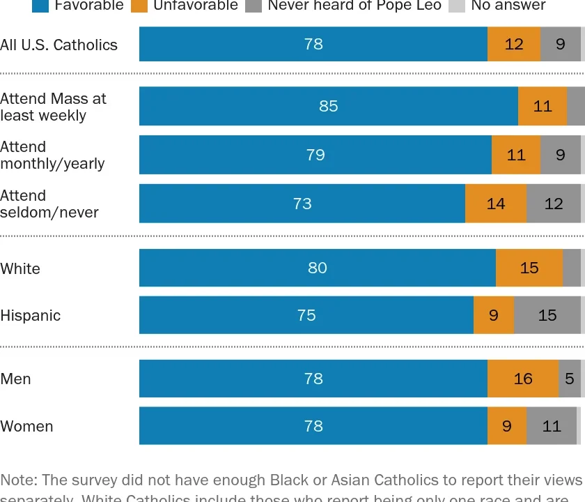 A Fractured Flock: U.S. Catholics Grapple with Pope Leo XIV Amidst Political Friction