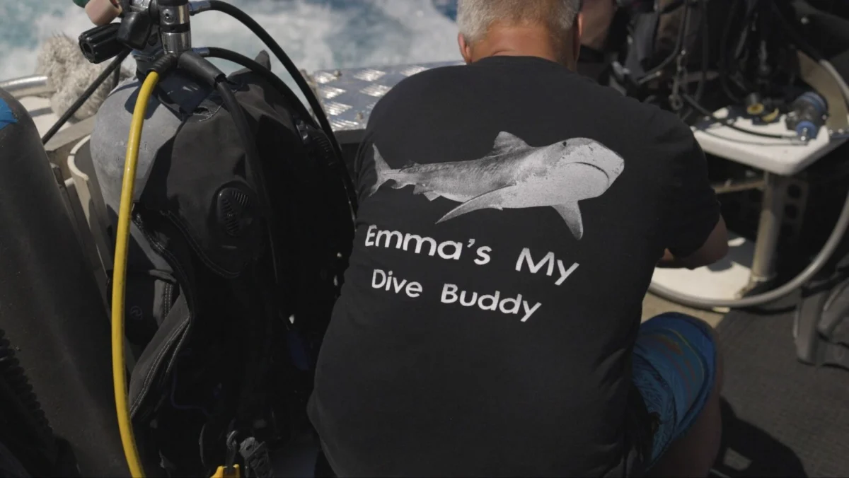 Beyond the Apex: How One Diver’s Bond with a Tiger Shark is Rewriting the Narrative of Marine Conservation