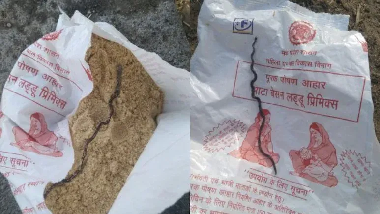Shock and Public Outcry: Pregnant Woman Finds Dead Snake in Government-Supplied Nutritional Ration