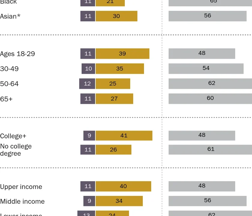The Rise of the Democratic Socialist Brand: Electoral Success Meets National Ambivalence