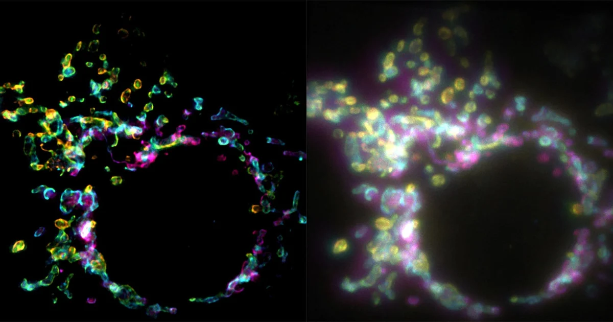 Breakthrough in Cellular Imaging: New SPIFFI Technique Enables Single-Frame Super-Resolution Microscopy for Live Cells