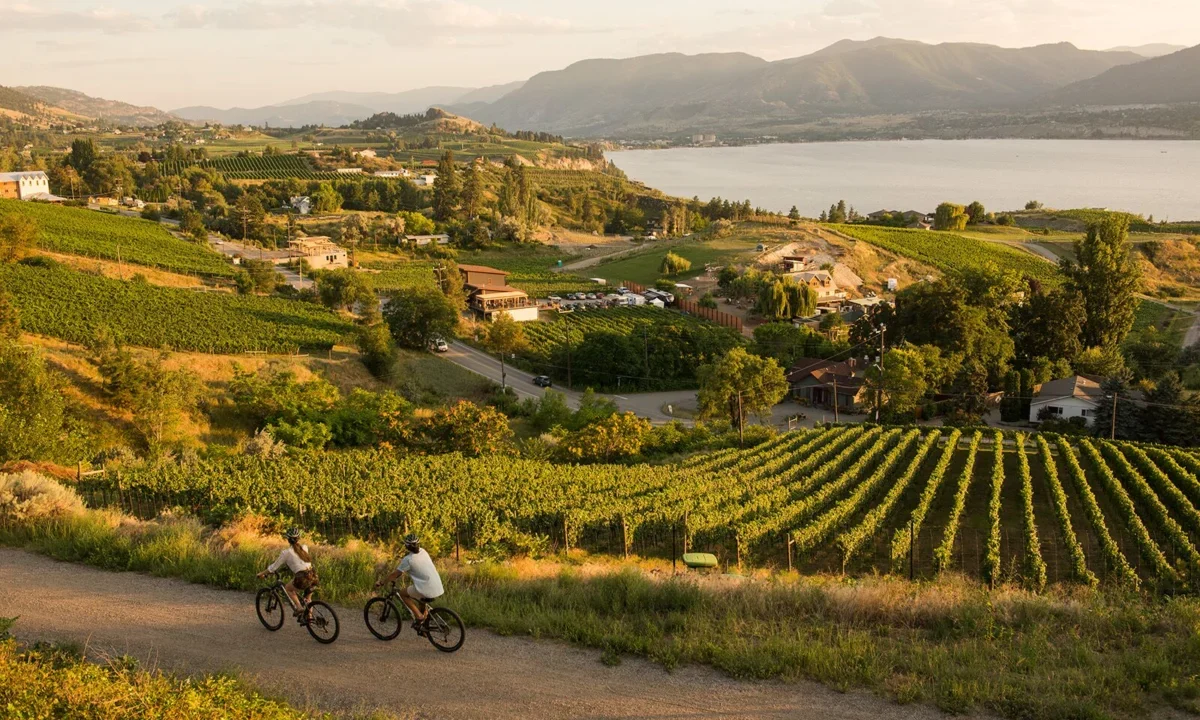 The Terroir of Transformation: A Three-Day Odyssey Through British Columbia’s Okanagan Valley